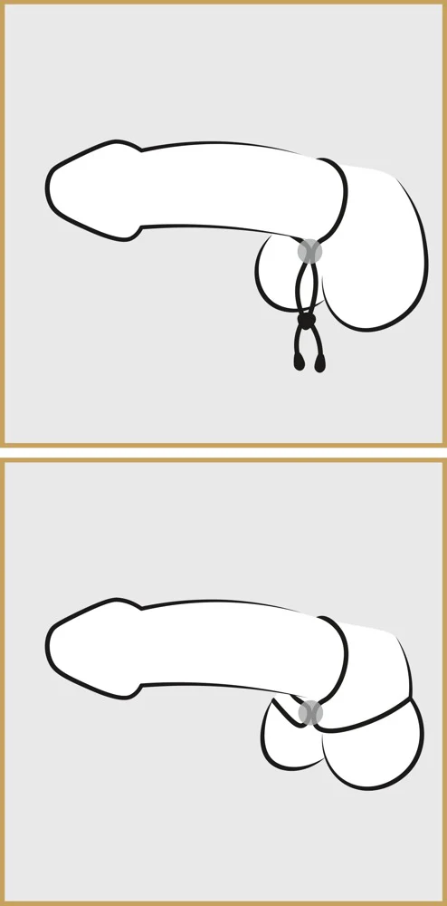 Bad Kitty Cock&Balls Ring - Image 4