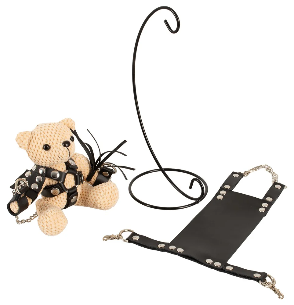BDSM Nalle i Mini-Gunga - Image 10