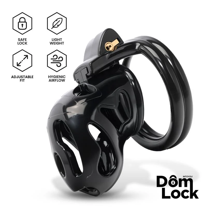 DomLock Parole Penisbur - Image 2