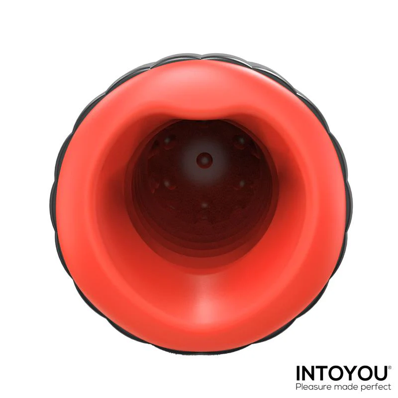 INTOYOU Karter Masturbator - Image 6