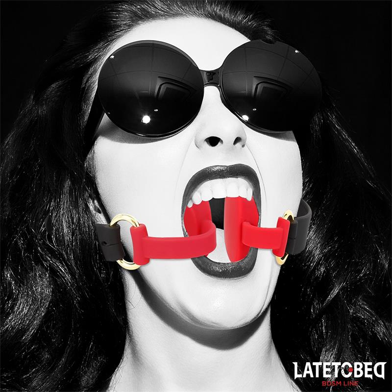 LatetoBed Force Mouth Gagball - Image 8