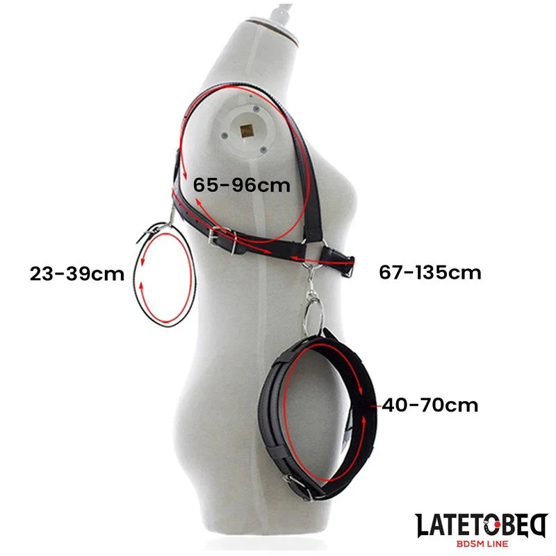 Latetobed Open Leg Bondage - Image 9