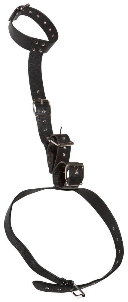 Neck & hand restraints - Image 5
