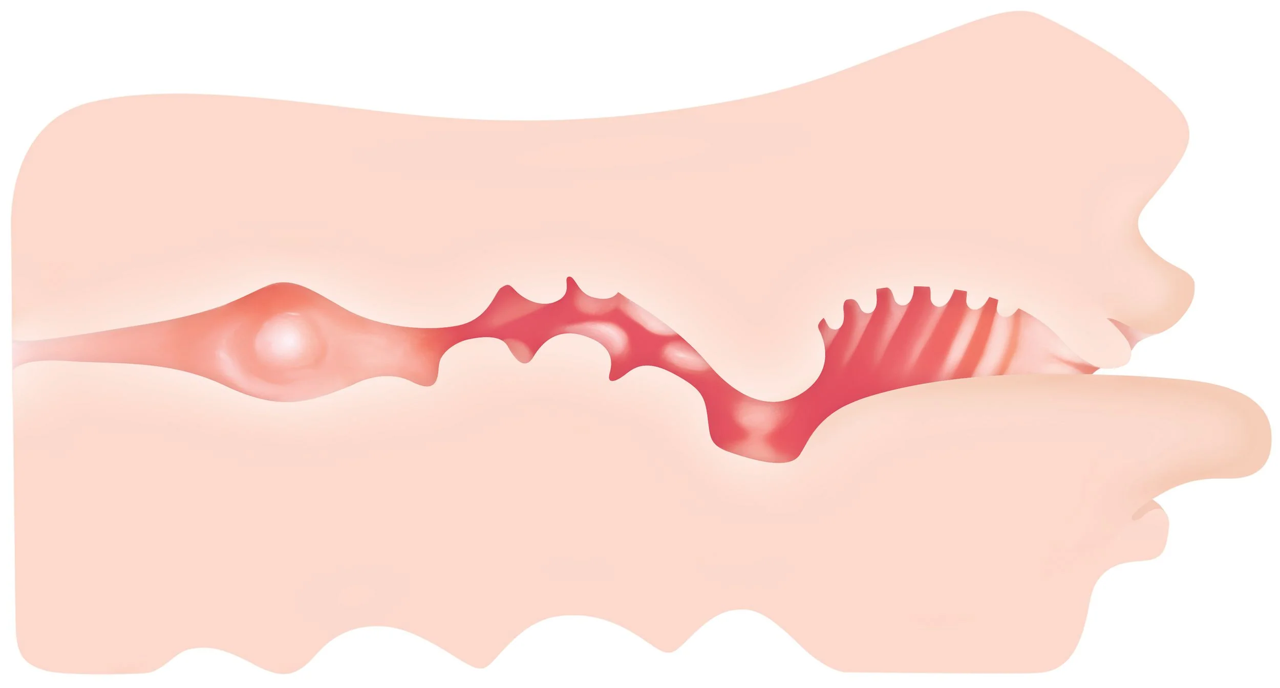 Real Mouth Masturbator Evolved - Image 7