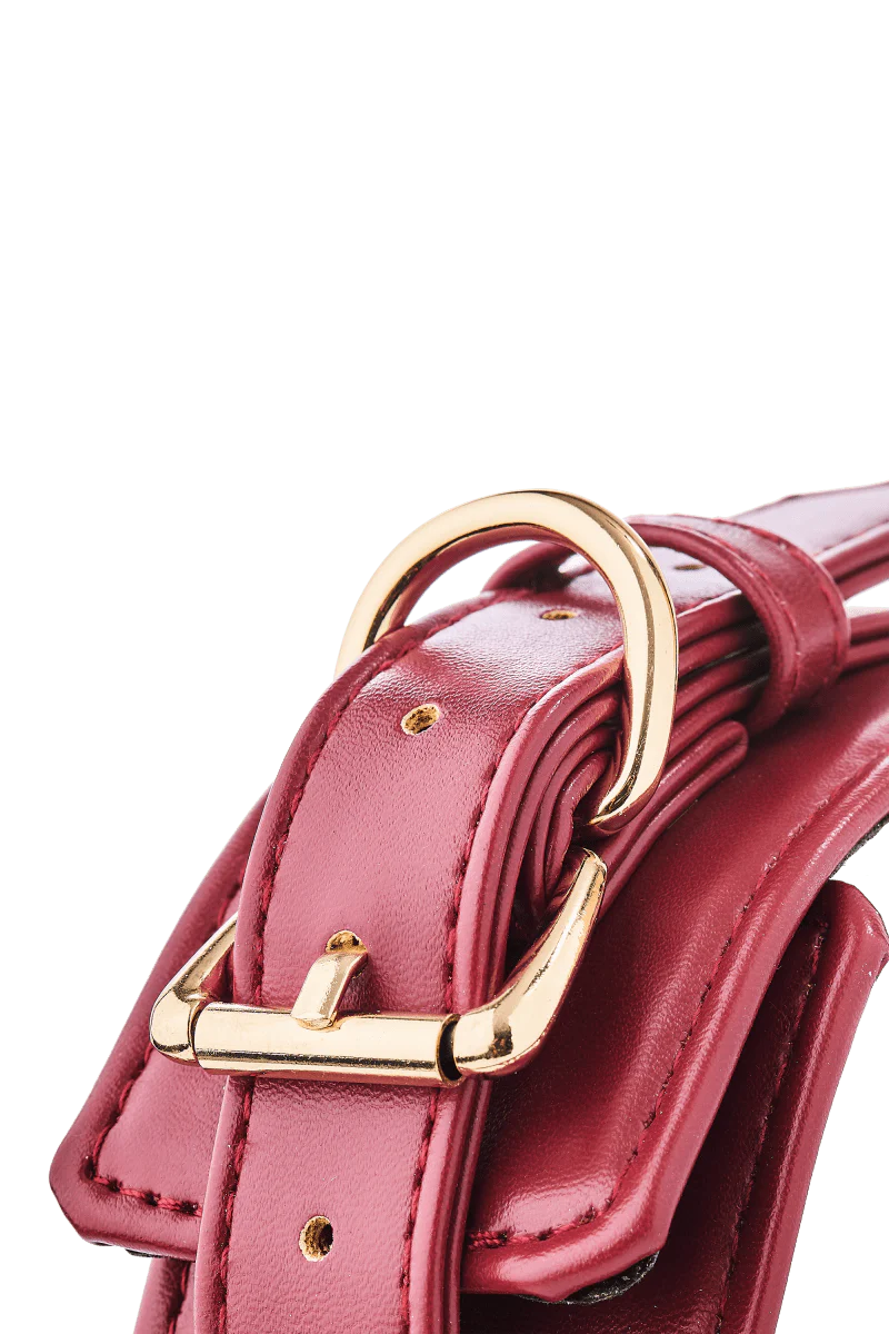 Röd Blaze Elite Halsband - Image 3