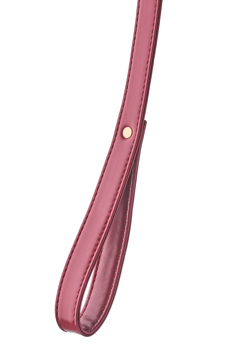Röd Blaze Elite Halsband - Image 5
